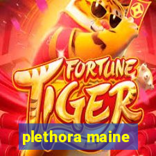 plethora maine